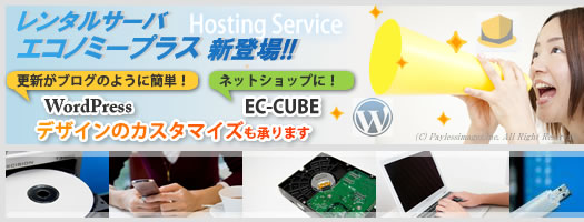 レンタルエコノミープラス